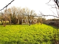 Photo numero 46507052 du bien GAR050353